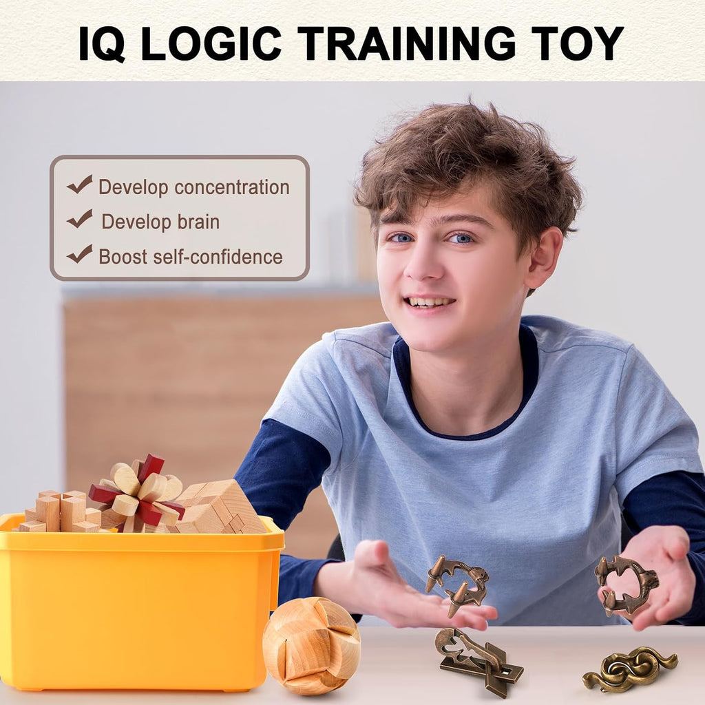 16-Piece Metal & Wooden Brain Teaser Puzzle Set