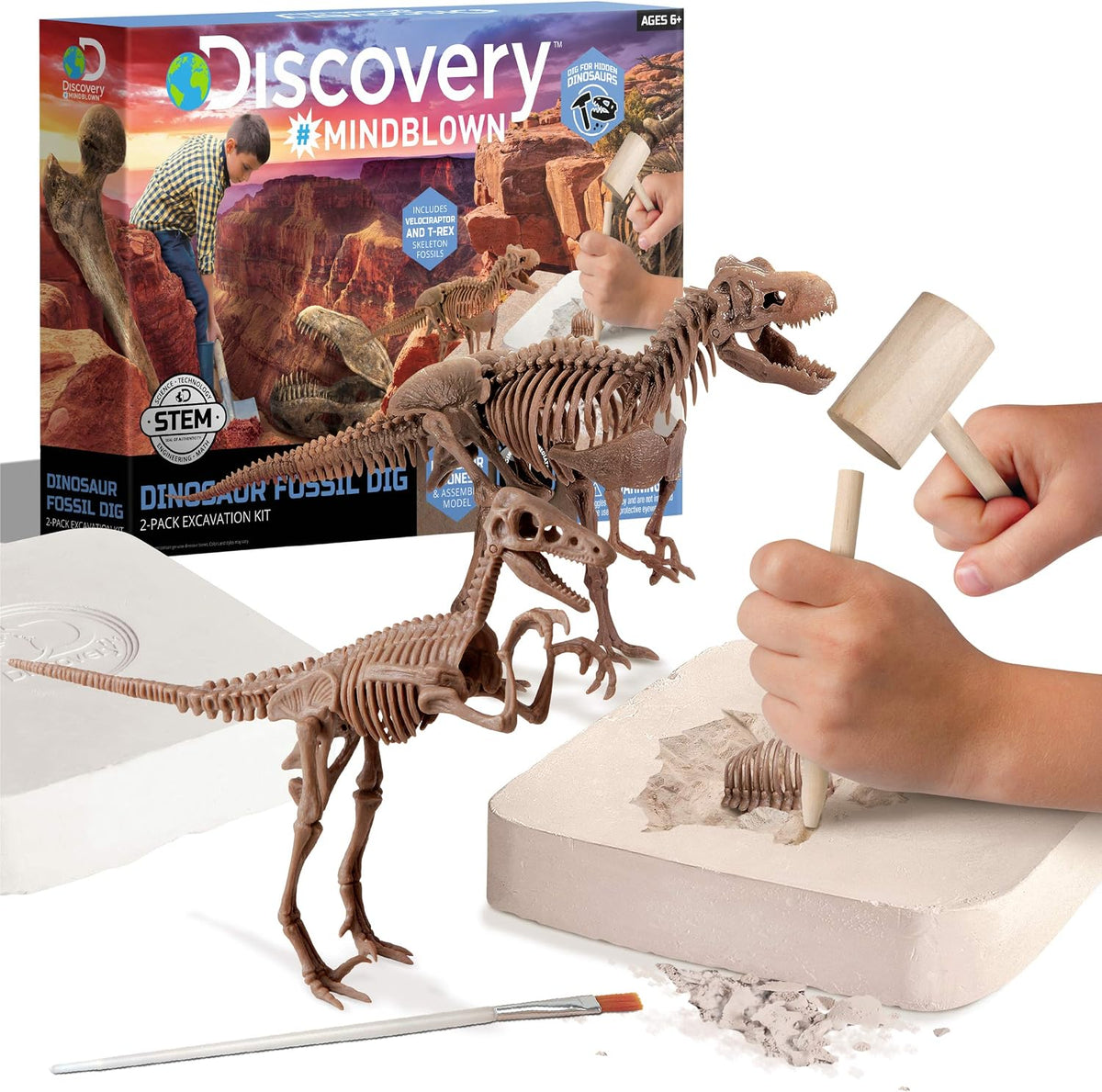 Discovery™ Dinosaur Fossil Dig Kit