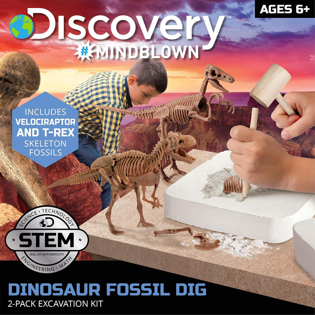 Discovery™ Dinosaur Fossil Dig Kit