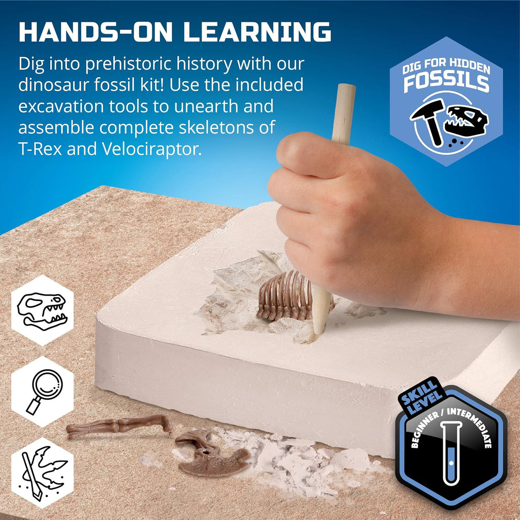 Discovery™ Dinosaur Fossil Dig Kit